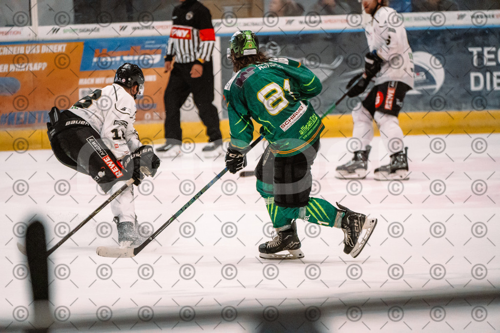 Alligators_vs_Erfurt_06_09_2026-38 | Die Fotogalerie von Daddel: professionelle Bilder von Sport, Events und Unternehmen aus Franken. Jetzt Galerien durchstöbern und Lieblingsfotos bestellen. - Realisiert mit Pictrs.com