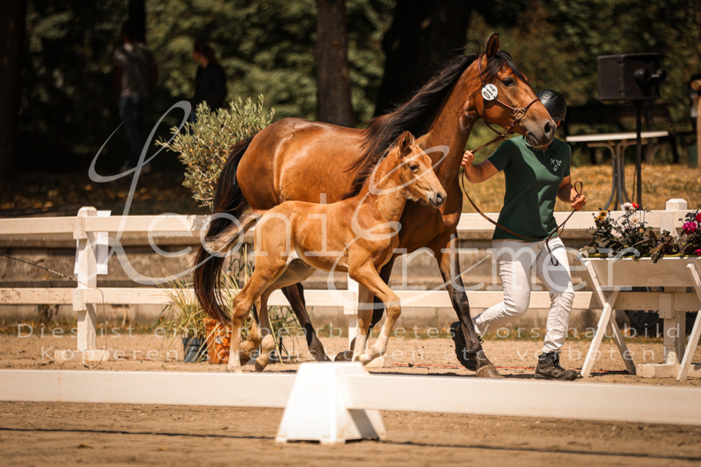 03.DoAB00023 | Leoni Ertmer Photography - Realisiert mit Pictrs.com