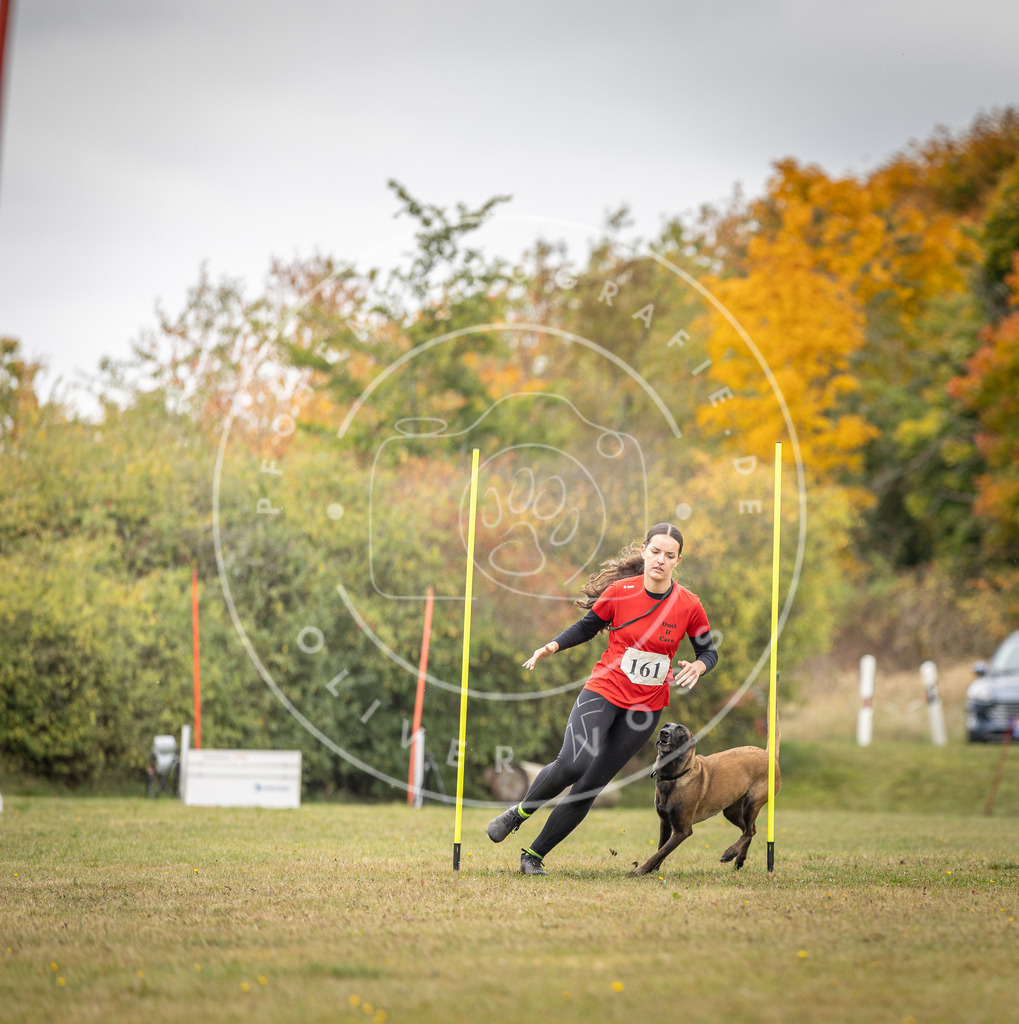 Pfotenfotografie_DV3A5199 | Hundefotografie, Tierfotograf, Pfotenfotografie, Fotoshooting Hund, Hunde Portrait, Hundesport, Hundeportraits, Heideshooting, Hunde, Sportfotograf, Hundefotograf, Turnierhundsport, THS,  - Realisiert mit Pictrs.com