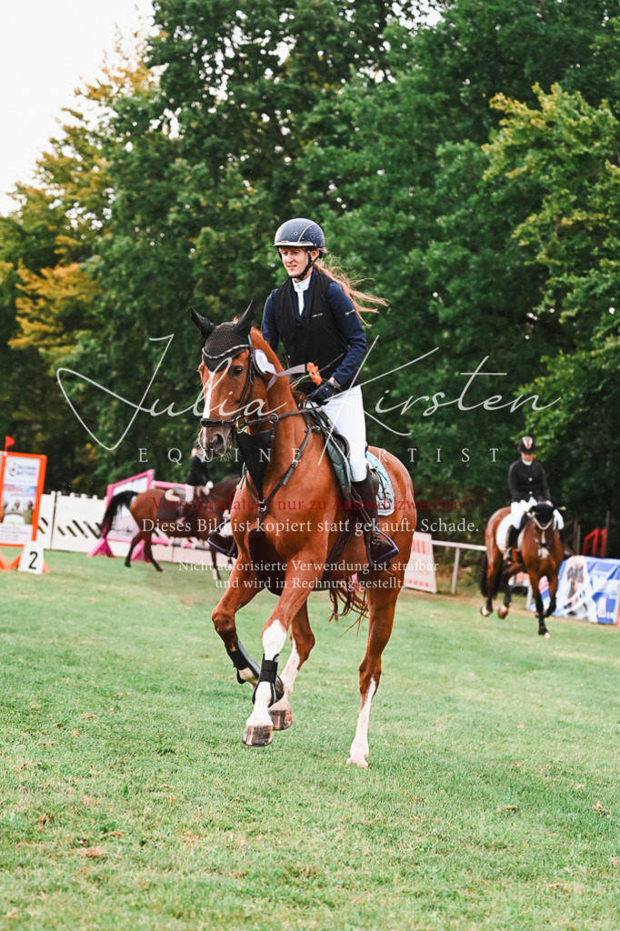 DSC_6706 | Pferde- und Turnierfotografie in Westsachsen. Pferdeportraits, Auftragszeichnungen und intuitive Kunst.