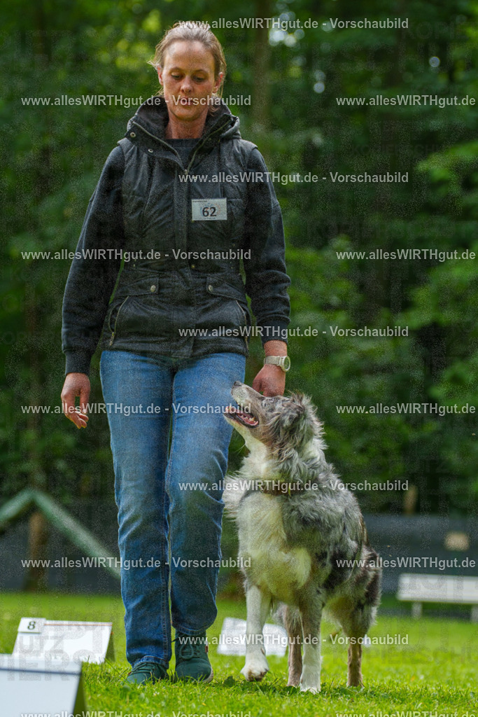 @allesWIRTHgut_Tierfotografie - www.allesWIRTHgut.de - 7R502065 | Professionelle Tierfotografie in Mönchengladbach von Daniel Wirth (allesWIRTHgut). Liebevolle & natürliche Bilder von Hunden & Katzen für unvergessliche Erinnerungen.