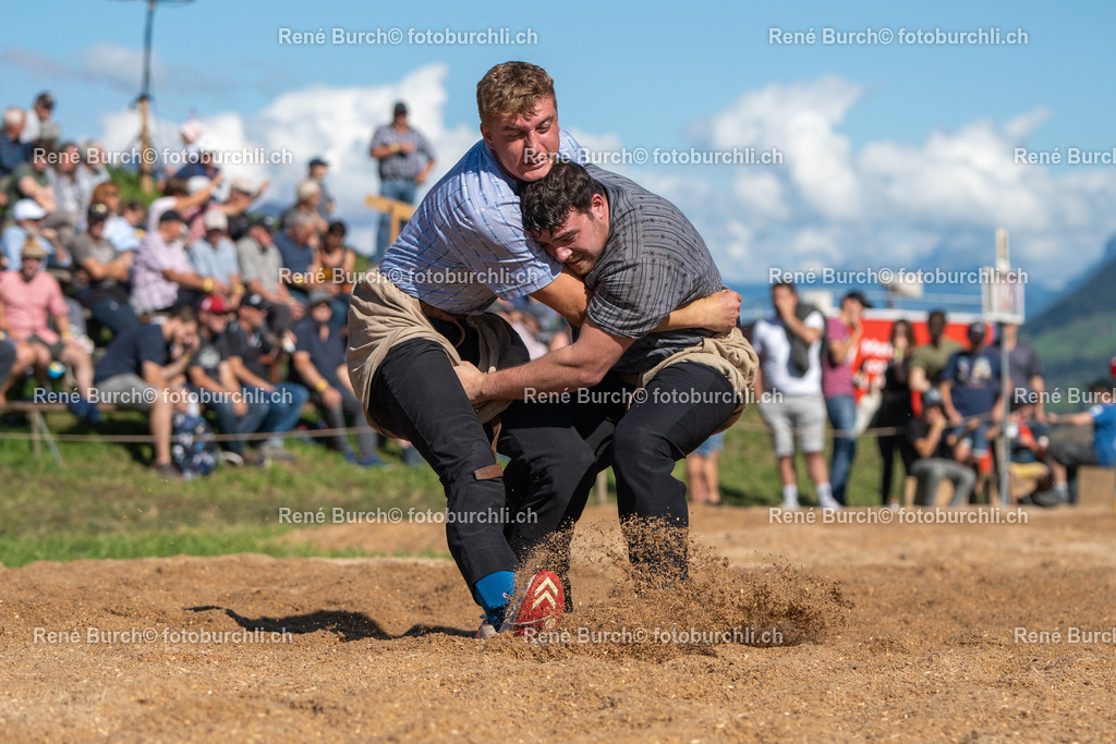 DSC08901-2 | René Burch leidenschaftlicher Fotograf aus Kerns in Obwalden.  Hier finden sie Sport, Landschaft und Natur Fotografie.
 - Realisiert mit Pictrs.com
