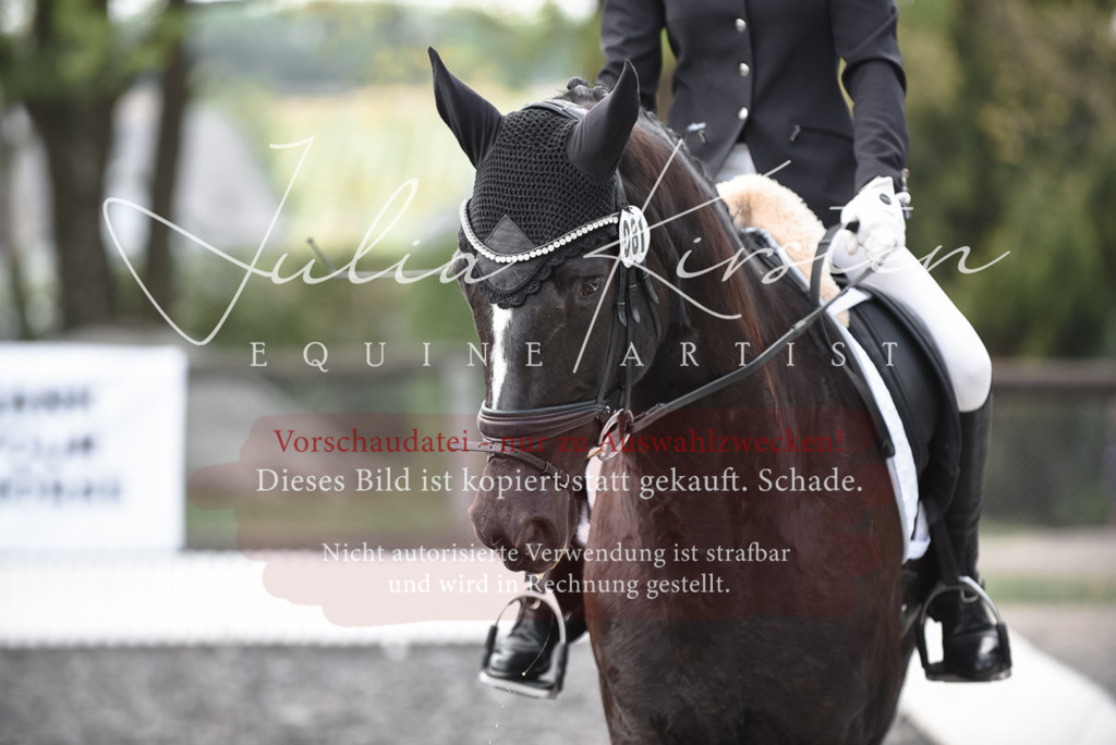 20230513_JK-Röhrsdorf-14-610 | Pferde- und Turnierfotografie in Westsachsen. Pferdeportraits, Auftragszeichnungen und intuitive Kunst.