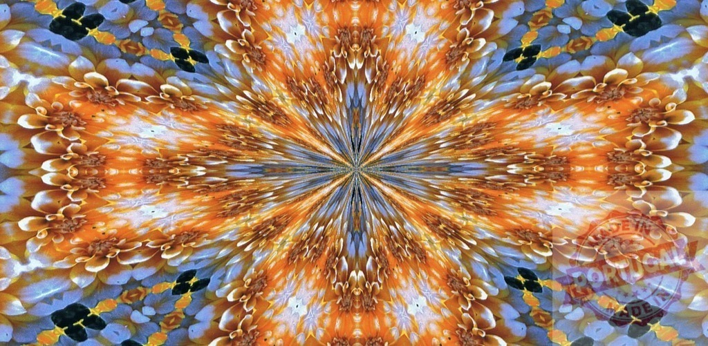 Kaleidoscope floral pattern creating a mesmerizing orange and blue abstract design | Kaleidoscope effect creating a stunning symmetrical floral pattern with orange and blue colors - Realized with Pictrs.com