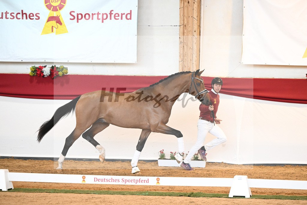 Kat-Nr. 58 Vitalis x Quaterback_Molcan_43230863 | hf-fotografie - Realisiert mit Pictrs.com