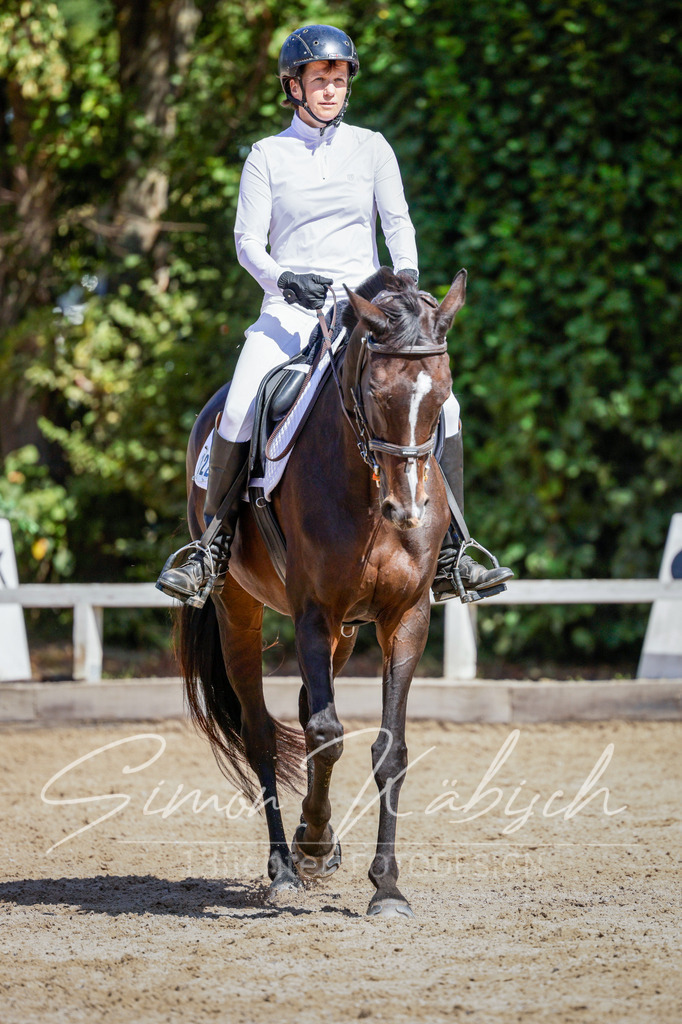 20250906-_3LI4456 | Tierfotografie Pferde, Hunde, Katzen, Haustiere.
Turnierfotografie Reitturniere, Reiten, Springreiten, Dressur in Hanau, dem Main-Kinzig-Kreis und dem Rhein-Main- Gebiet um Frankfurt