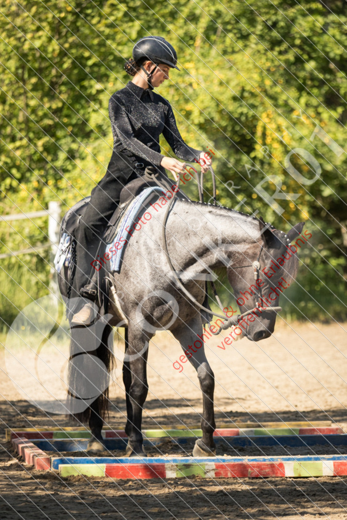 IMG_7656 | Sport-, Event- und Tierfotos in Profiqualität. Einfach auswählen, bestellen und herunterladen. Dein Moment – perfekt festgehalten.