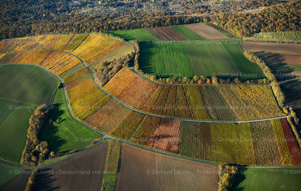 4042723 | Weinberge bei Wiebelsberg, Weinlage Dachs