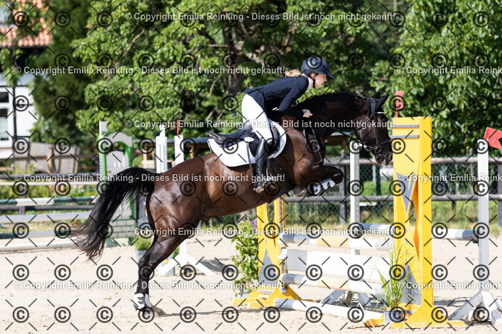 CL5A6536 | Emilia Reinking Fotografie - Realisiert mit Pictrs.com