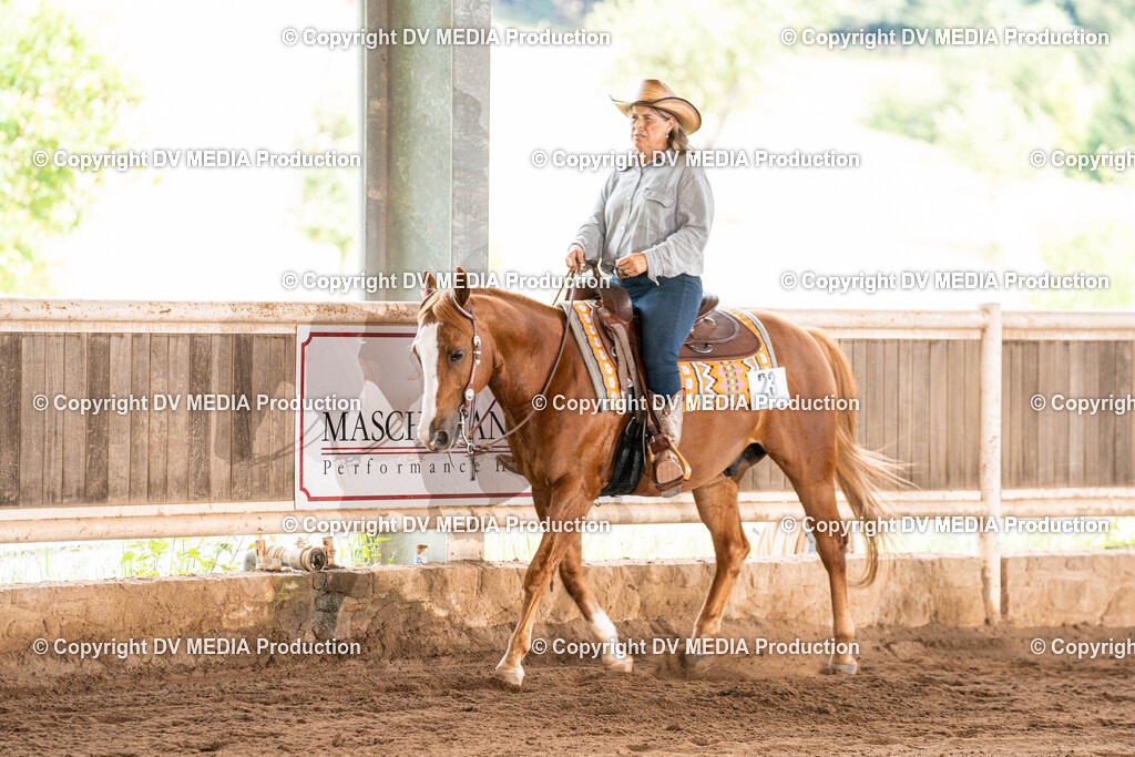 Erbach Tag 1-688 | dv-media-shop - Realisiert mit Pictrs.com