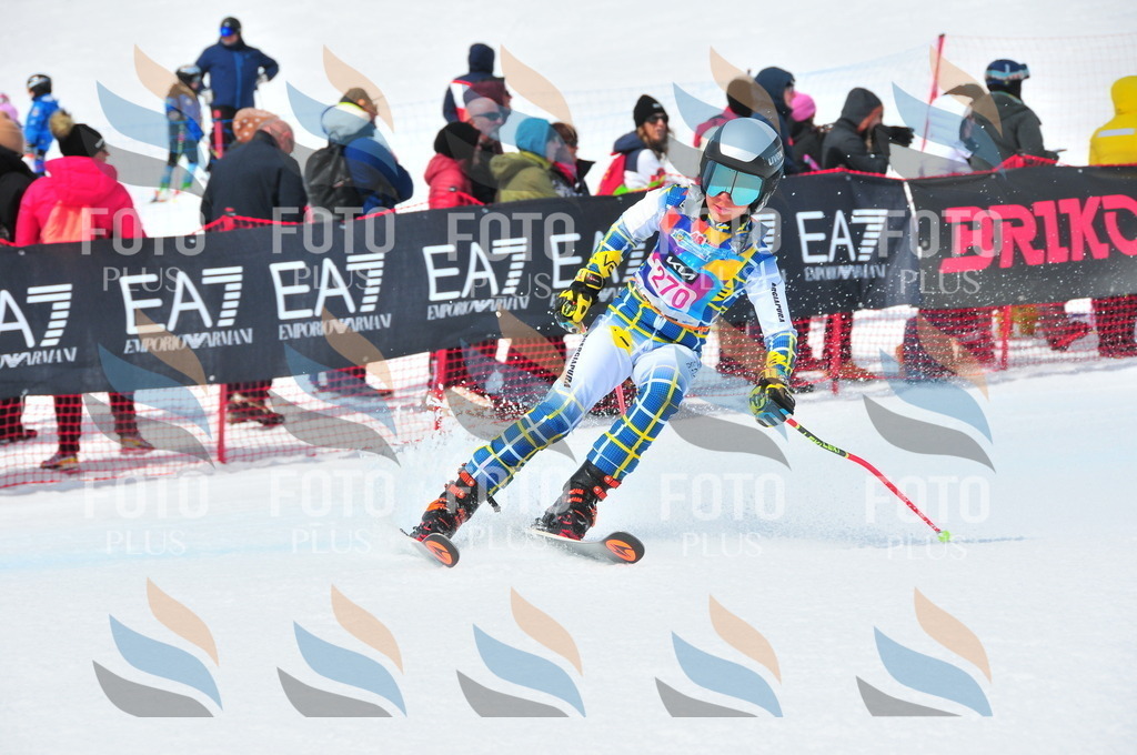 DSC_6274 | holidayphoto