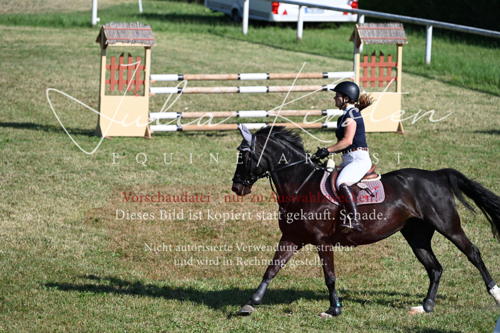 DSC_2478 | Pferde- und Turnierfotografie in Westsachsen. Pferdeportraits, Auftragszeichnungen und intuitive Kunst.