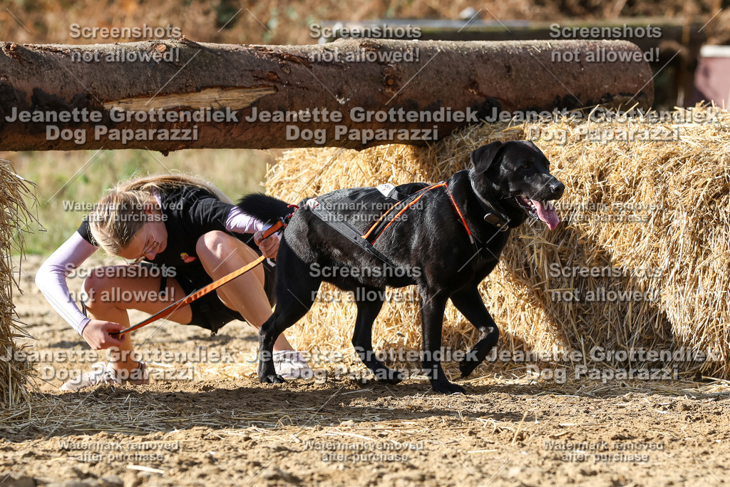 Dog Paparazzi - Strongdog 10-25-4922 | Dog Paparazzi Jeanette Grottendiek Fotografie & Videografie - Realisiert mit Pictrs.com