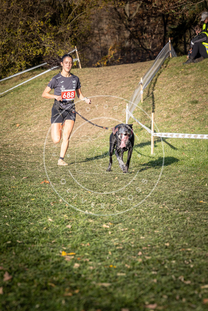 CaniXpix_0L8A9336 | Hundefotografie, Tierfotograf, Pfotenfotografie, Fotoshooting Hund, Hunde Portrait, Hundesport, Hundeportraits, Heideshooting, Hunde, Sportfotograf, Hundefotograf, Turnierhundsport, THS,  - Realisiert mit Pictrs.com