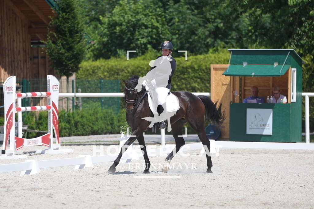 0P6A6261 | Willkommen bei Brunnmayr - Design & Fotografie – Ihrem Spezialisten für Reitturniere und Pferdeveranstaltungen in Oberösterreich, Salzburg und Bayern! Seit über 17 Jahren sind wir leidenschaftlich dabei.
