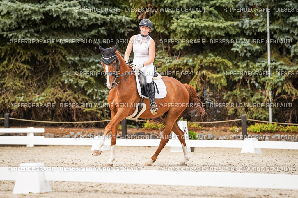 DSC07329 | Pferdegrafie