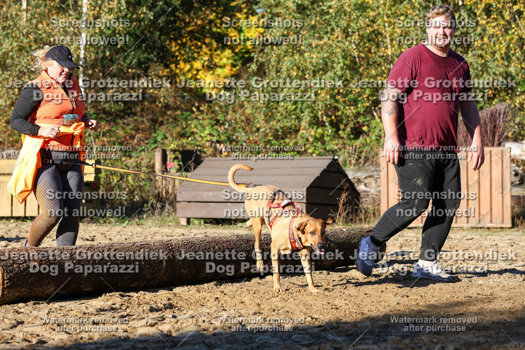 Dog Paparazzi - Strongdog 10-25-1507 | Dog Paparazzi Jeanette Grottendiek Fotografie & Videografie - Realisiert mit Pictrs.com