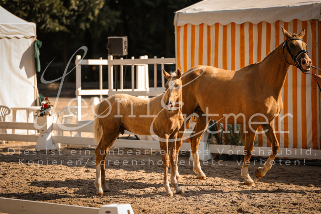 11.DoRP00088 | Leoni Ertmer Photography - Realisiert mit Pictrs.com