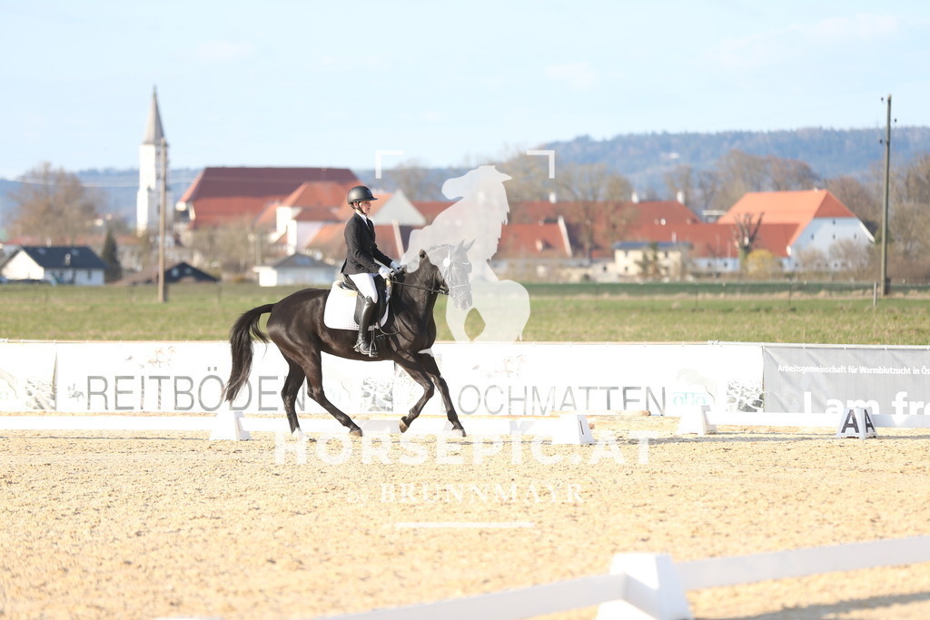 AS8V2168 | Willkommen bei Brunnmayr - Design & Fotografie – Ihrem Spezialisten für Reitturniere und Pferdeveranstaltungen in Oberösterreich, Salzburg und Bayern! Seit über 17 Jahren sind wir leidenschaftlich dabei.