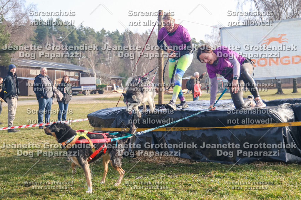 Dog Paparazzi - Strongdog North Mrz26-55 | Dog Paparazzi Jeanette Grottendiek Fotografie & Videografie - Realisiert mit Pictrs.com