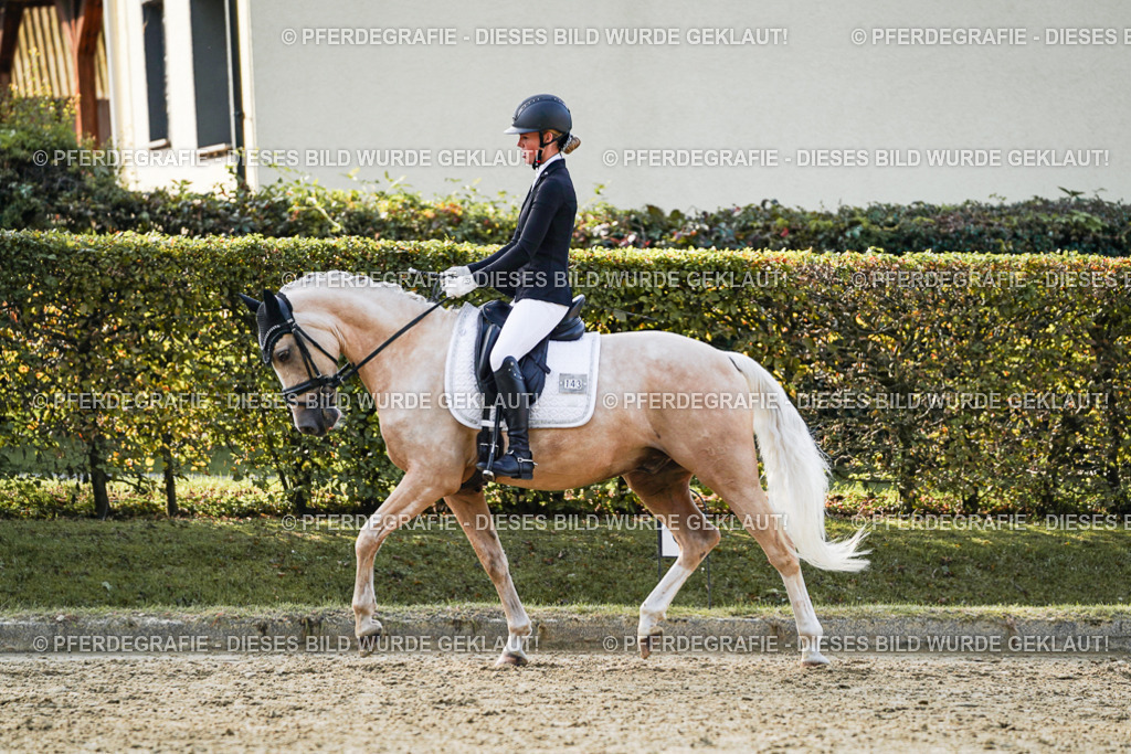 DSC04863 | Pferdegrafie