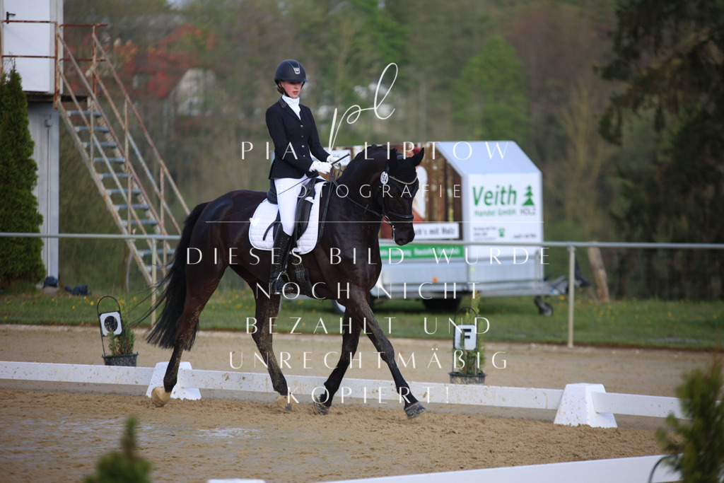 IMGT8831 | pl-fotografie