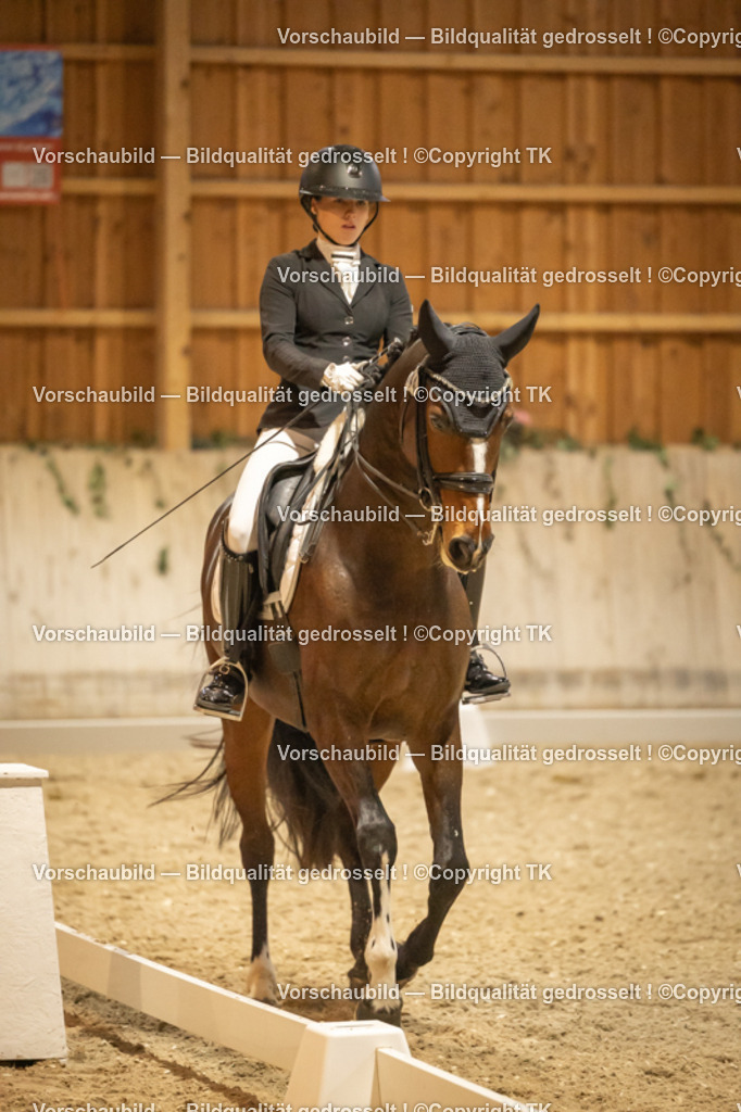 _D5A3924 | Emotionale Pferde- & People-Fotografie rund um Heidelberg, Leimen & Umgebung. Natürliche Fotos von Pferd, Mensch & Familie. Jetzt Termin sichern!