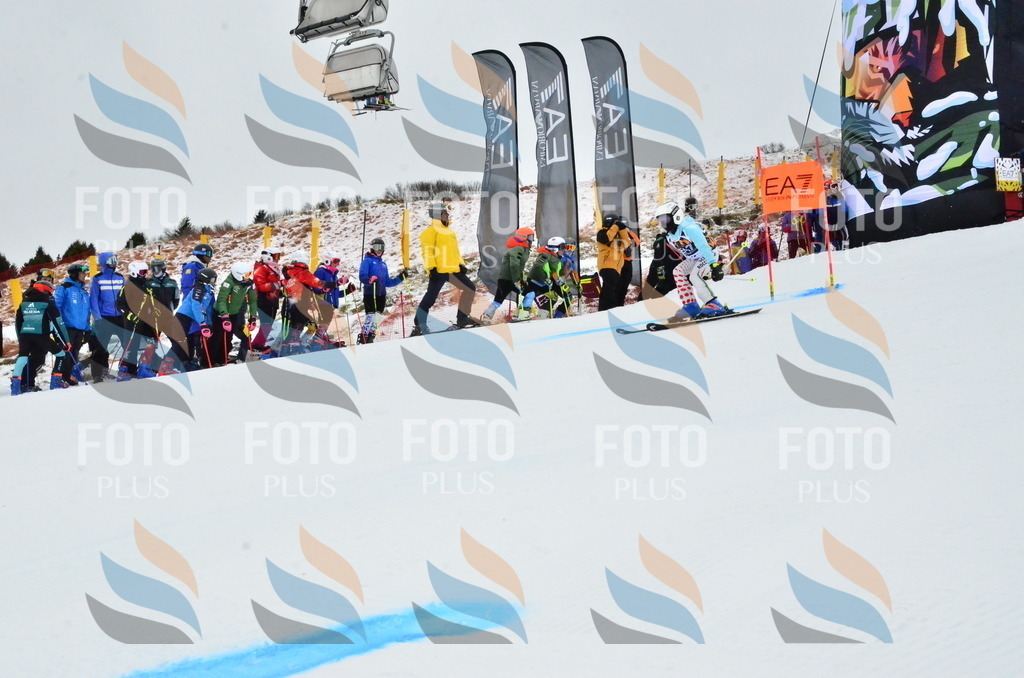 _ELE3365 | holidayphoto