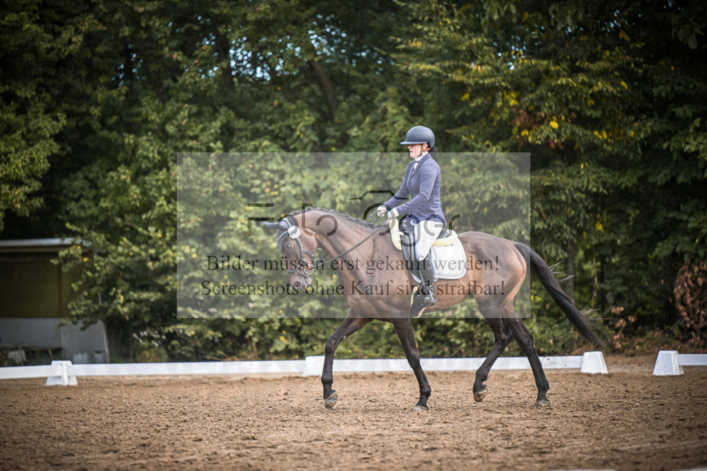 DOS_1584 | Entdecke hochwertige Reitturnierfotos von Foto Oger. Professionell, emotional und authentisch – jetzt Lieblingsmomente im Shop bestellen.Deutschlandweite Turnierfotografie. - Realisiert mit Pictrs.com