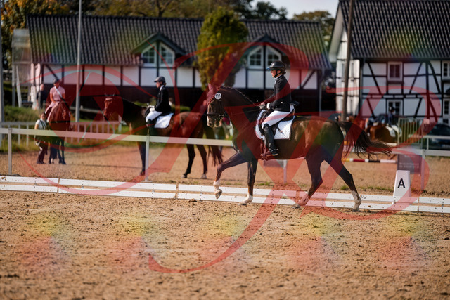 2026_10_03_Siefer-Hof_132400_Z63_86400896 | Professionelle Reitsport-, Turnier- und Eventfotografie von Robert Broda. Galerien mit ausgewählten und bearbeiteten Bildern direkt online ansehen und bestellen.