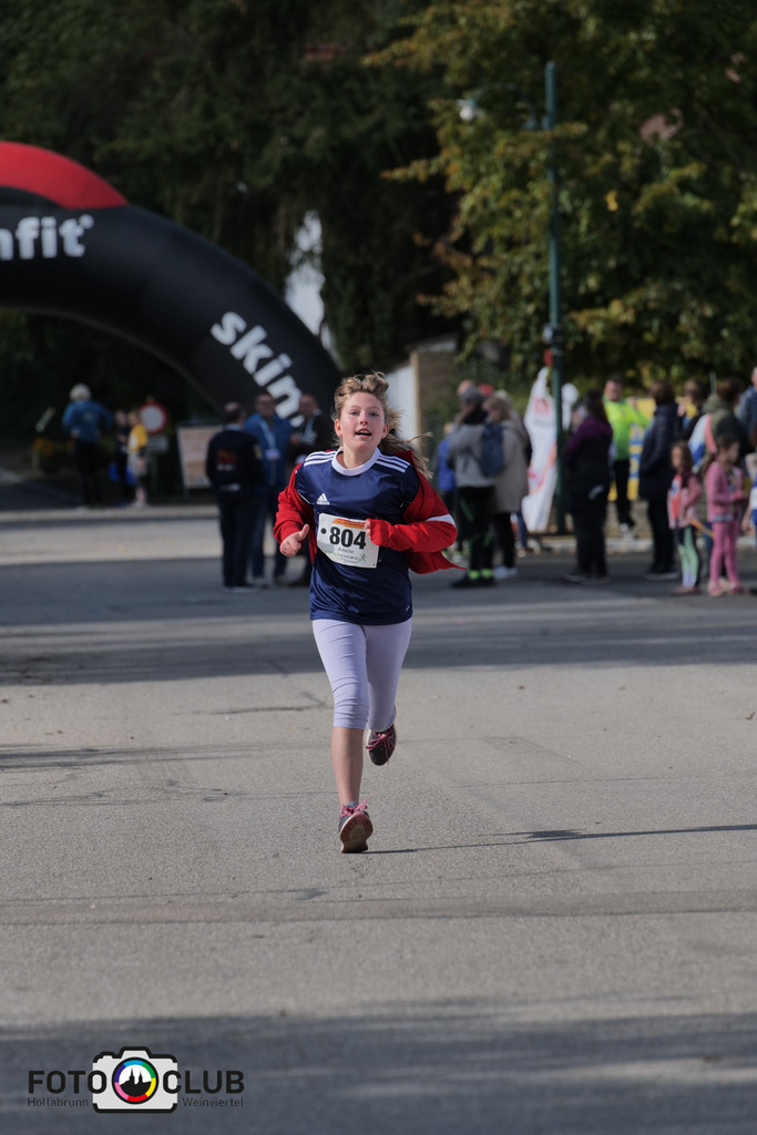 D (466) | Foto Buchgraber