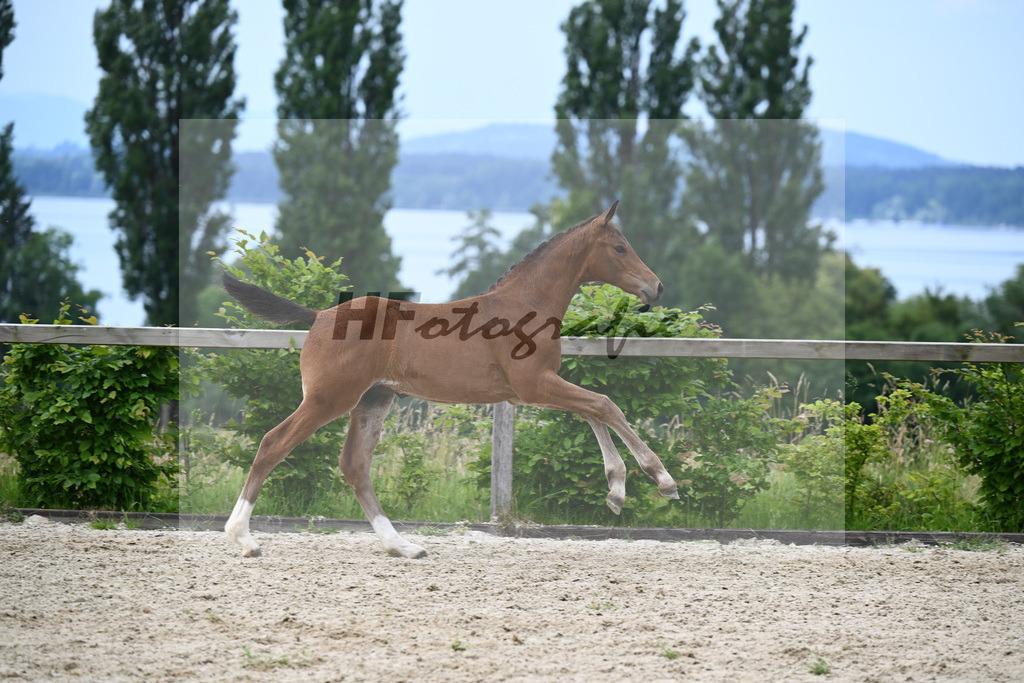 Grey Top x Cormint_HF_Stumbeck_19240271 | hf-fotografie - Realizzato con Pictrs.com