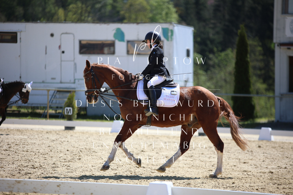 IMGT0576 | pl-fotografie