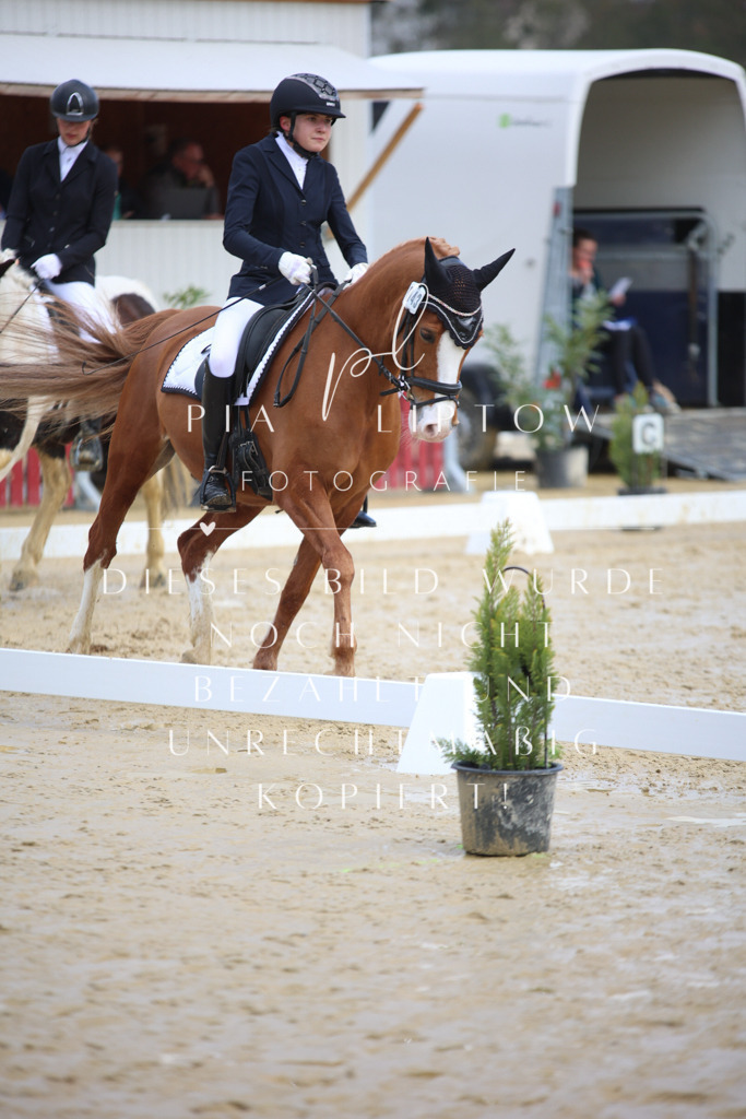 IMGT4088 | pl-fotografie