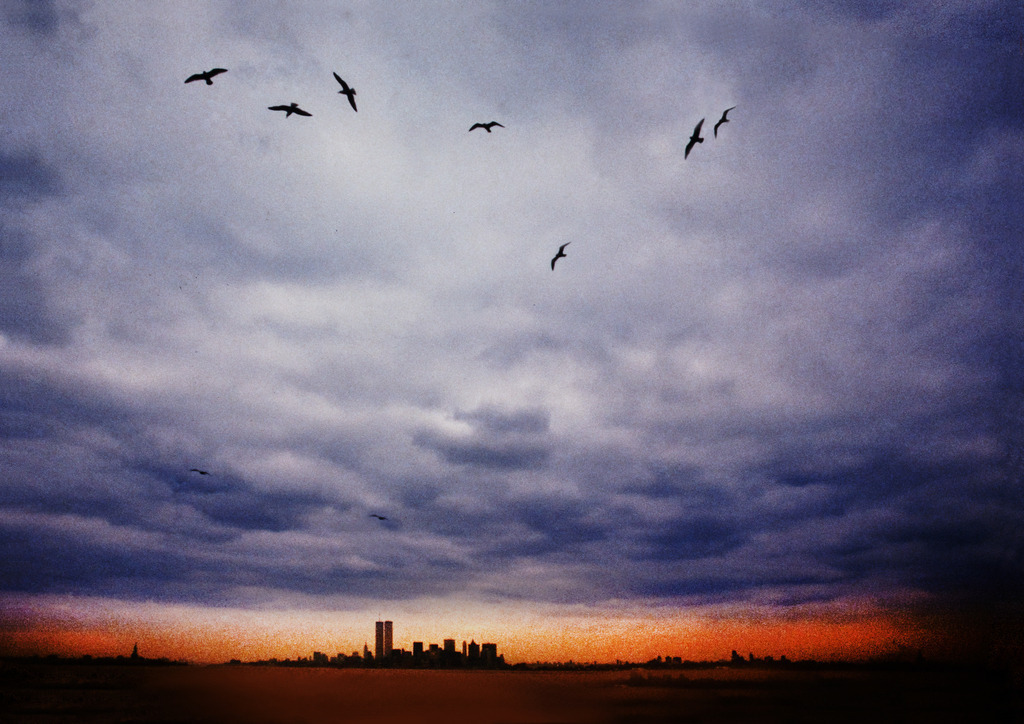 USA_NYC_Skyline_1980_9812aa_42X60cm_print | Blick von der Southferry nach Staten Island
