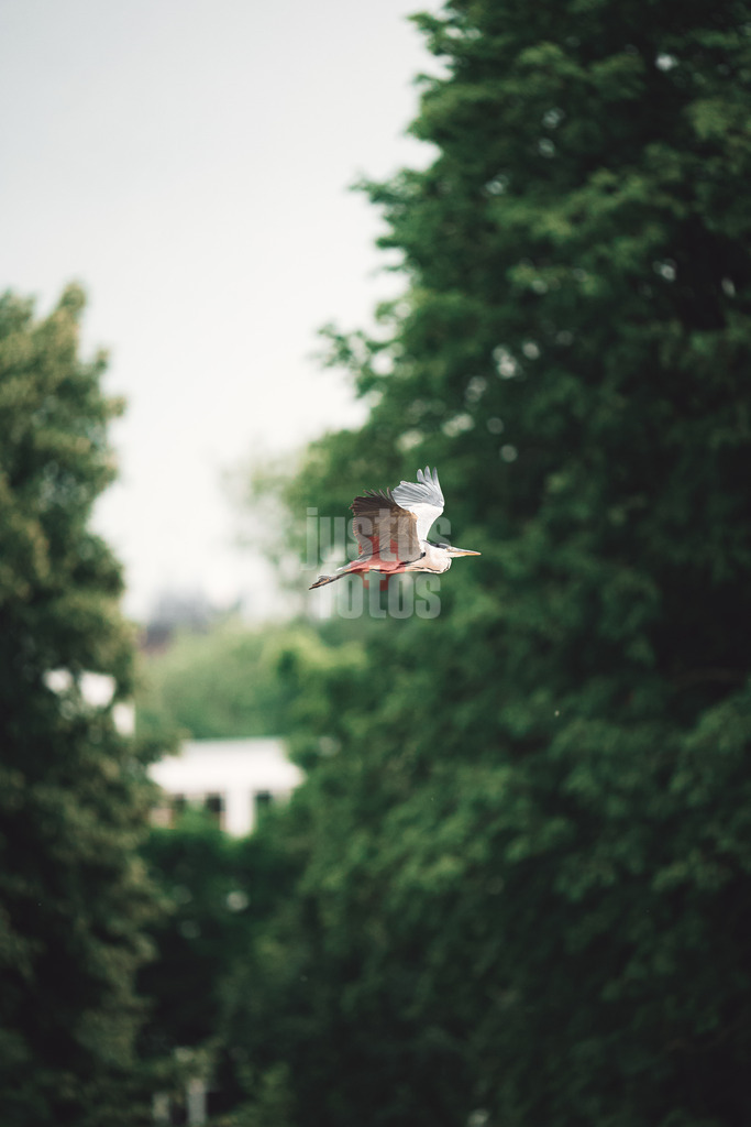 @justus.fotos-20230629-DSC06834 | sportfotografie mit justus stegemann