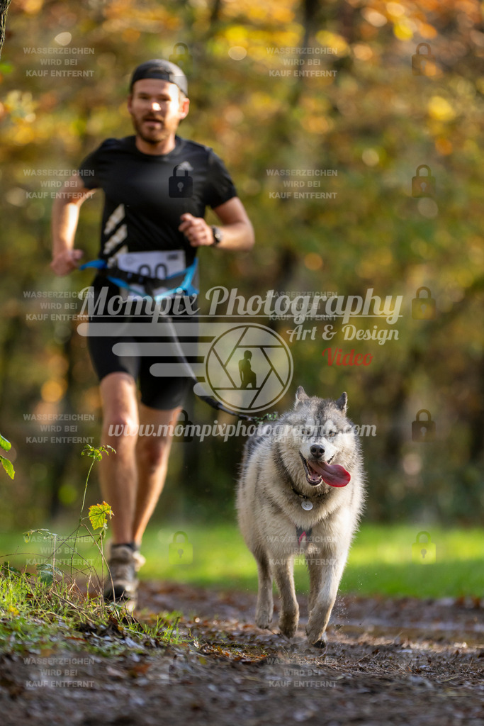 MompixPhotography_Bischwiller23_Canicross-22 | PayLife