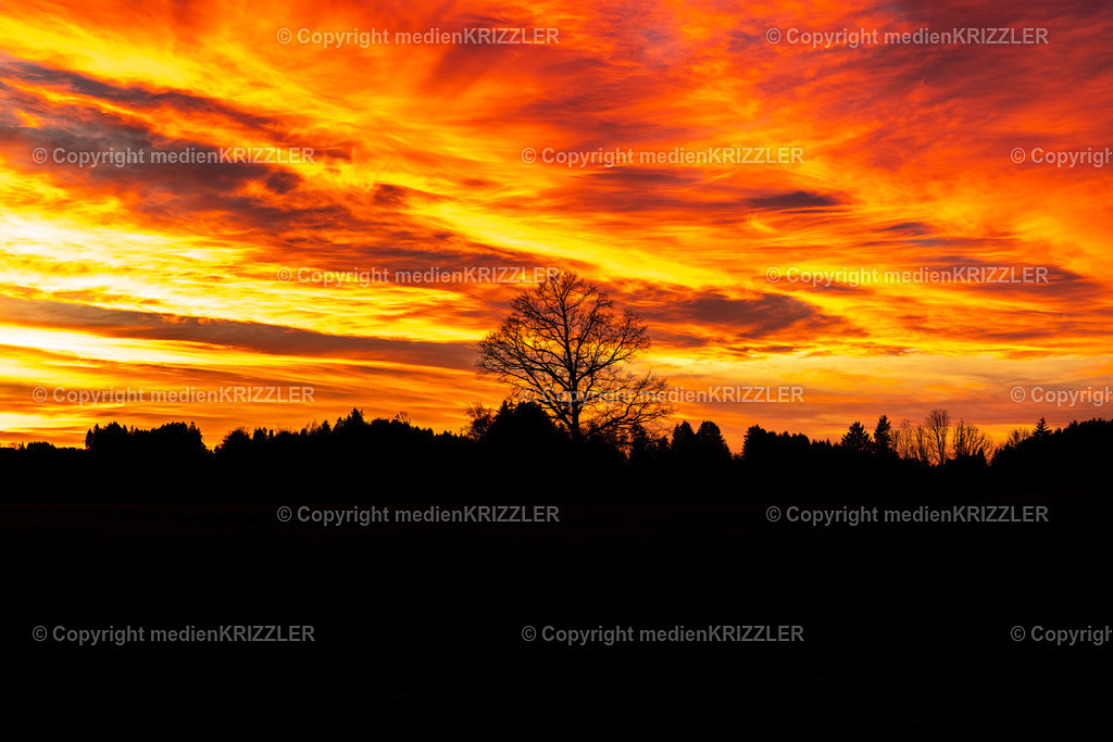 _J3A0246 | medienkrizzler - Realisiert mit Pictrs.com