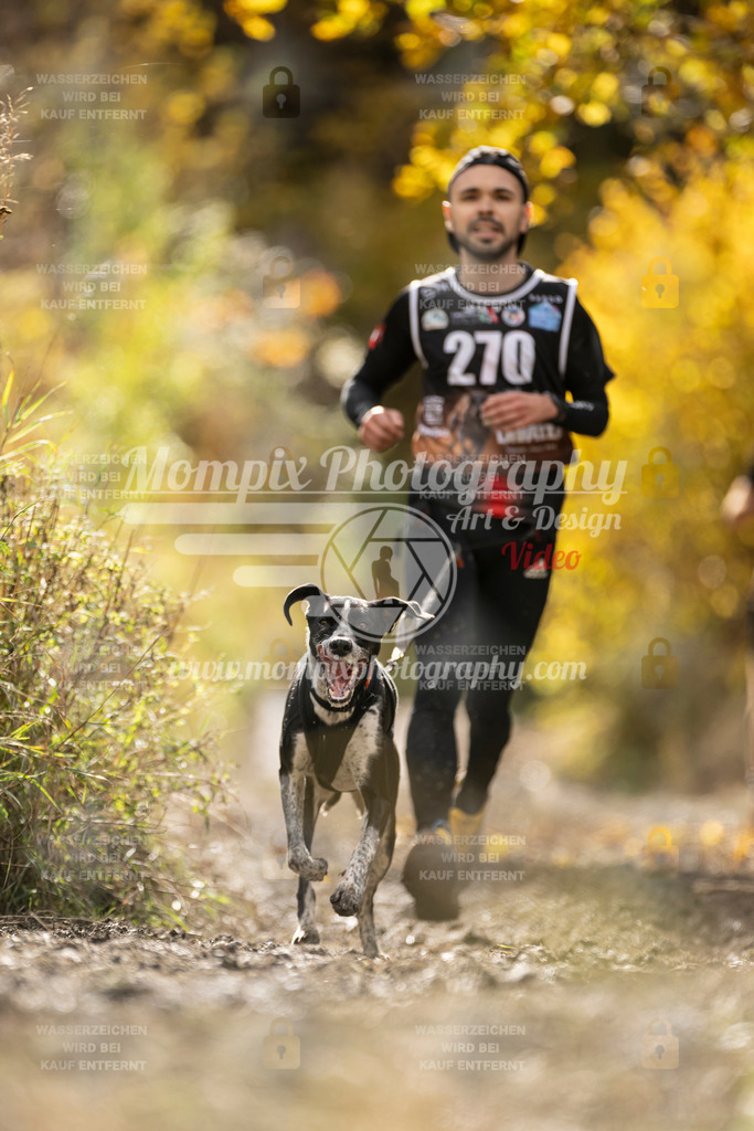 MompixPhotography_ICF_WC_2024_SA_Run_-105 | PayLife