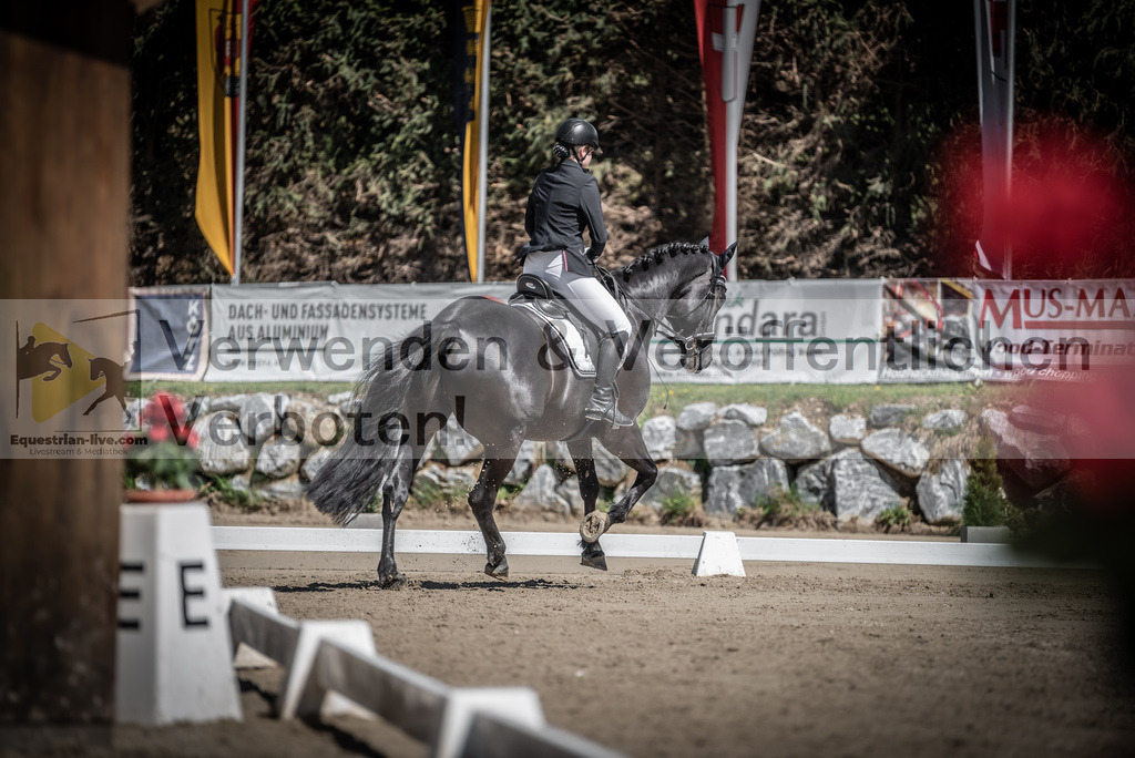 DSC_0209 | equestrian-live-com