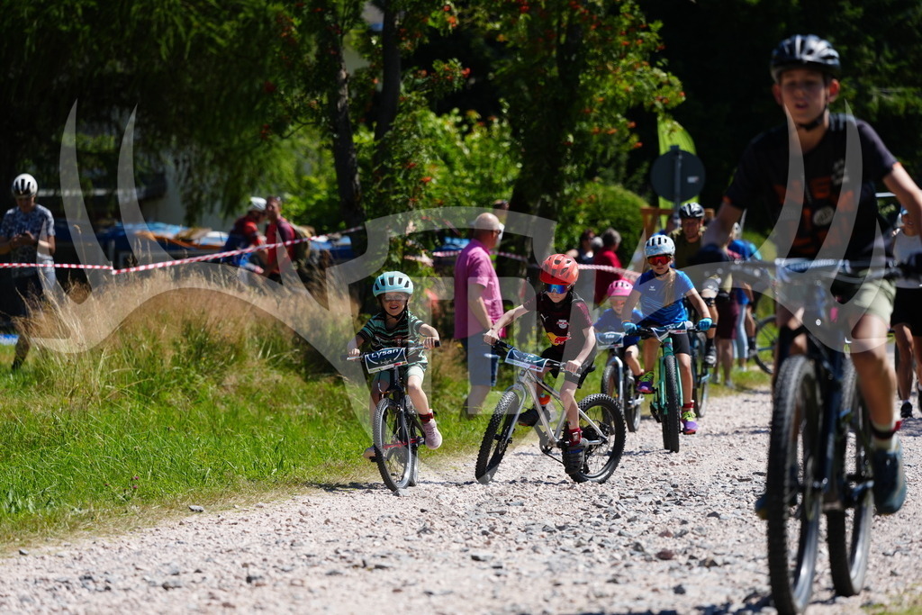 FC101274 | Fotogalerie der Treibjagd im Dunkelwald - Dein MTB Etappenrennen im Erzgebirge - Realisiert mit Pictrs.com