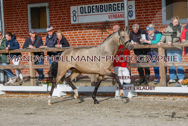 DR (1045 von 1791) | mandyhollmannphotographie