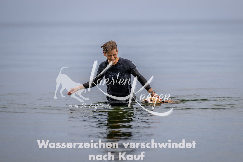 1223_ZZ91456 | kk-dogfotos
