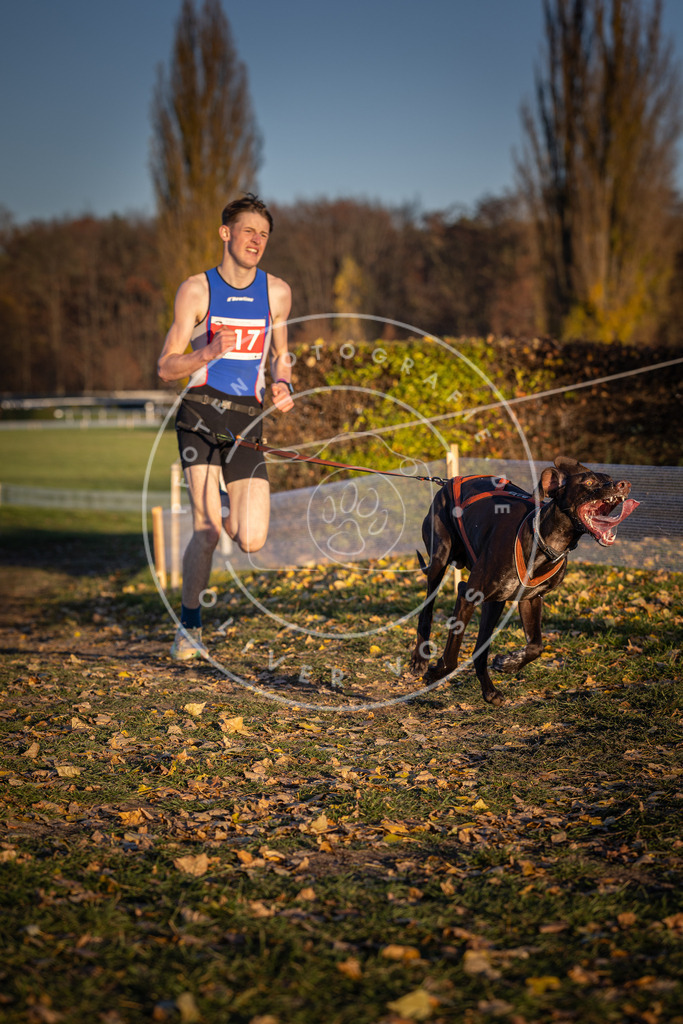 CaniXpix_DV3A4872 | Hundefotografie, Tierfotograf, Pfotenfotografie, Fotoshooting Hund, Hunde Portrait, Hundesport, Hundeportraits, Heideshooting, Hunde, Sportfotograf, Hundefotograf, Turnierhundsport, THS,  - Realisiert mit Pictrs.com