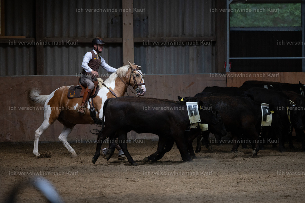 C2_L7596 | working equitationturnier fotograf videograf stoibphotography marixx film working equitation deutschland reitsport turnierfotografie eventfotografie equestrian events