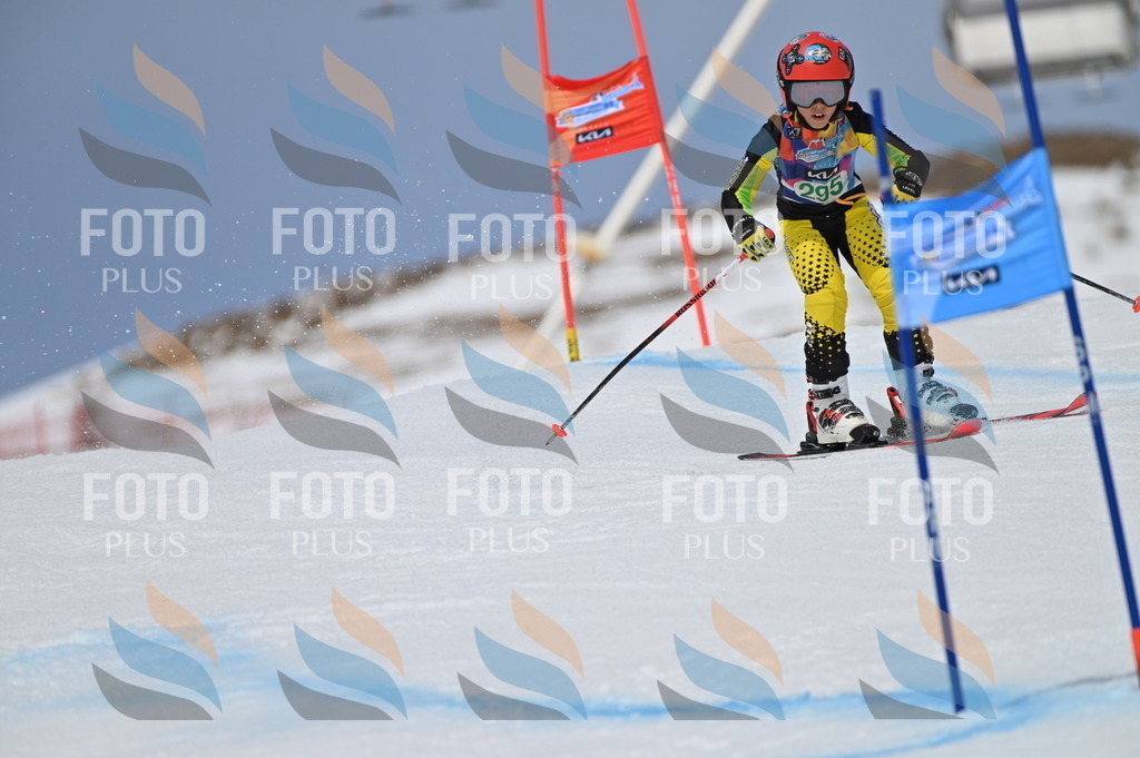 BGV_5887 | holidayphoto