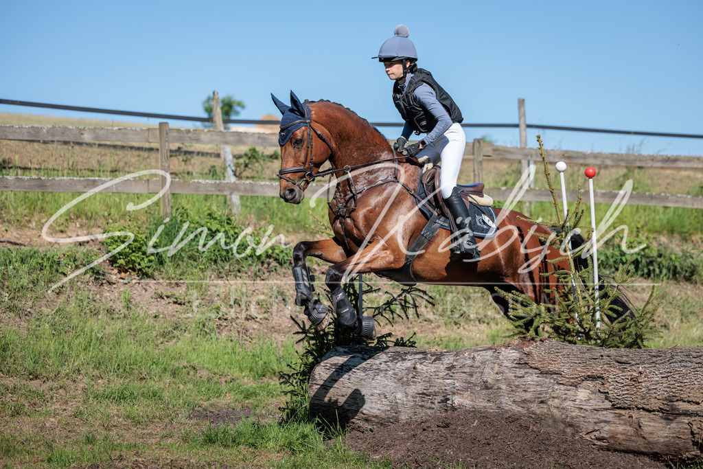 20260523-_3LI6527 | Tierfotografie Pferde, Hunde, Katzen, Haustiere.
Turnierfotografie Reitturniere, Reiten, Springreiten, Dressur in Hanau, dem Main-Kinzig-Kreis und dem Rhein-Main- Gebiet um Frankfurt