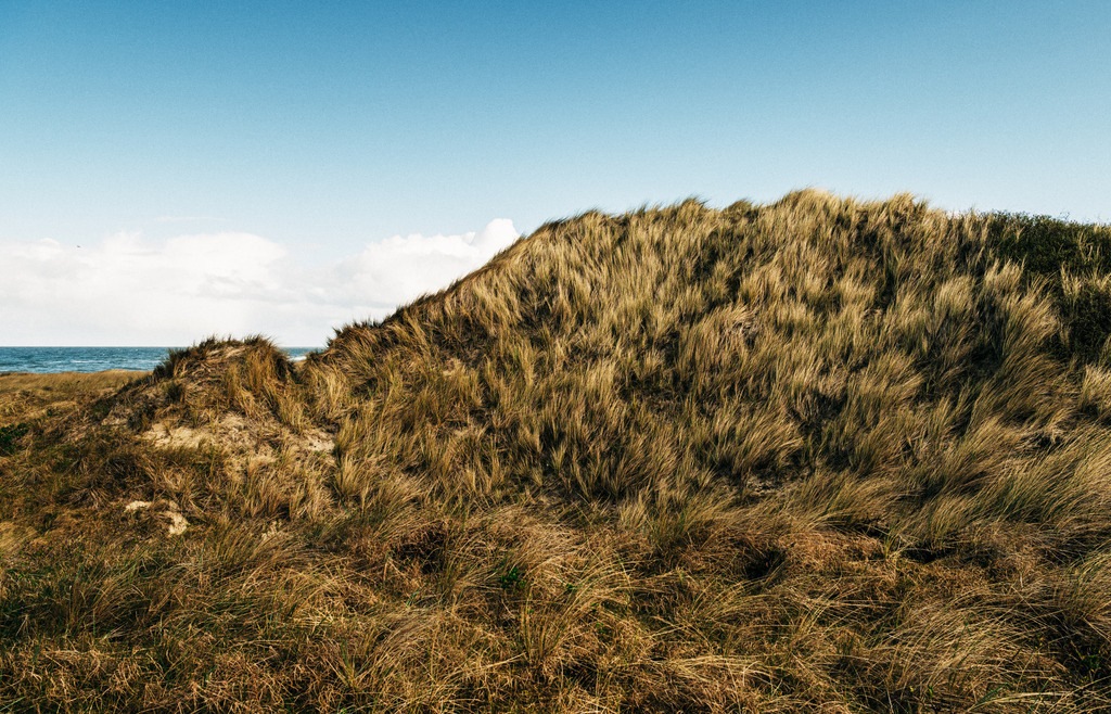 Sylt | Simone Sonderegger Photography