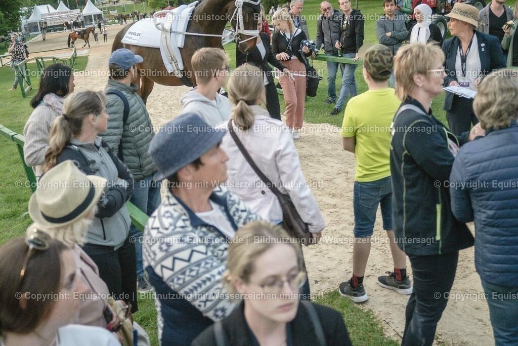 20230527_Voltigieren_NASPA_Flutlicht_0112 | equistock