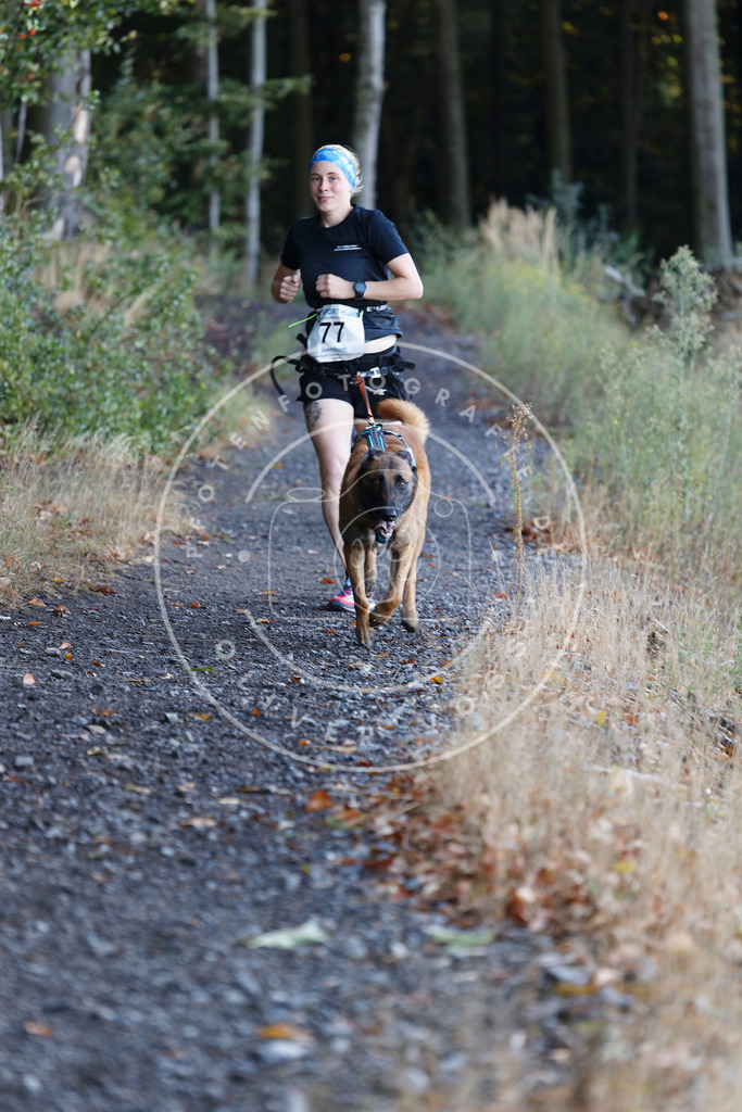 0L8A2031 | Hundefotografie, Tierfotograf, Pfotenfotografie, Fotoshooting Hund, Hunde Portrait, Hundesport, Hundeportraits, Heideshooting, Hunde, Sportfotograf, Hundefotograf, Turnierhundsport, THS,  - Realisiert mit Pictrs.com
